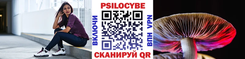 Галлюциногенные грибы ЛСД закладки Алексеевка