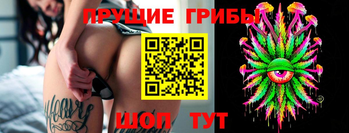 где найти   Алексеевка  Псилоцибиновые грибы Cubensis 